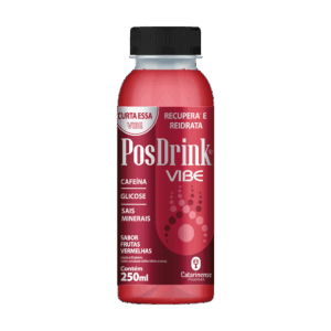 POS DRINK VIBE RECUPERA E REIDRATA 250ML FR. VERMELHAS CATARINENSE PHARMA